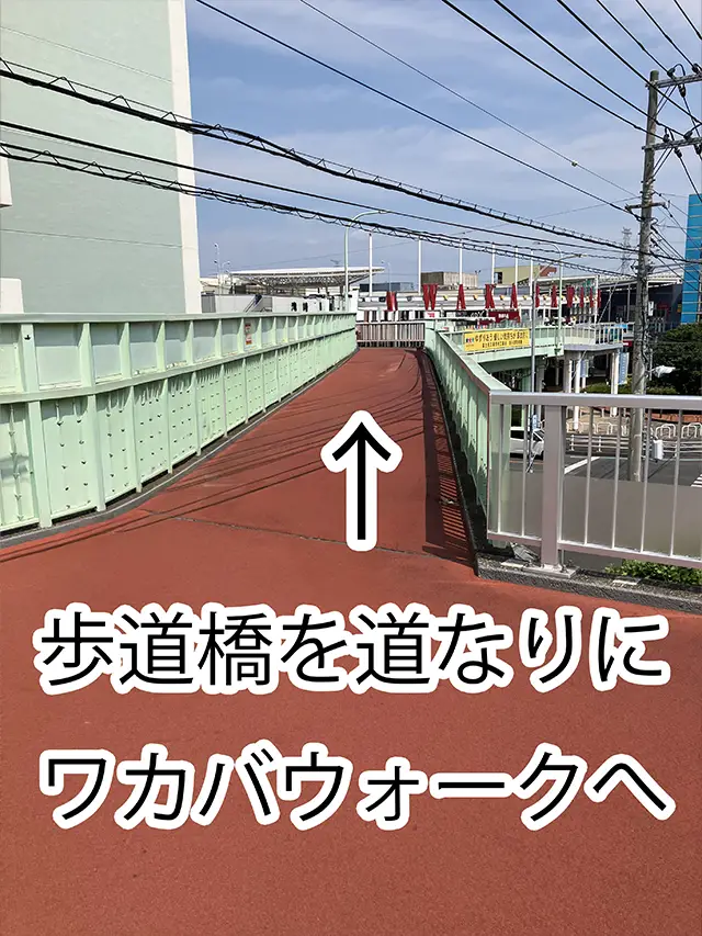 歩道橋を道なりにワカバウォークへ。